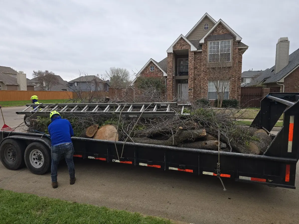 Expert Tree Fertilization with proper safety equipment in Lequire